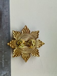 Орден "ПОЧЕСНИЙ ПРАЦІВНИК. ГОЛОСАВТОІНСПЕКЦІЯ"