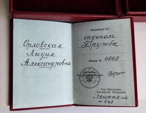 о.ДРУЖБЫ №6868.на ДОКЕ в Домике!