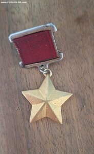 Медаль золотая звезда ГСС