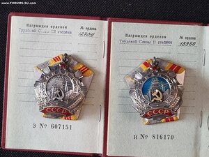 Трудовая слава 2 и 3 степень на документах