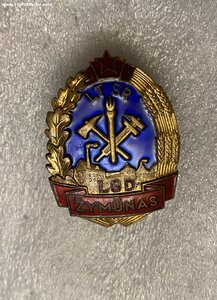 Литовский отличник ДПО ,1950е годы,сохран