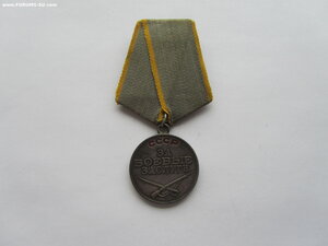 Боевые Заслуги 683105