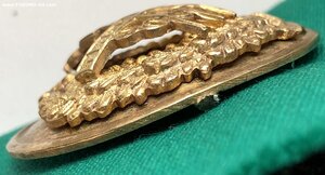 Должностной знак межевого учреждения