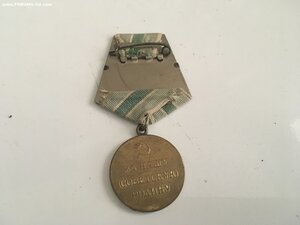 Заполярье родной сбор