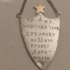 Конный пробег, 1 спорт.Олимпийада 4й отд.сиб.кав.бригады.