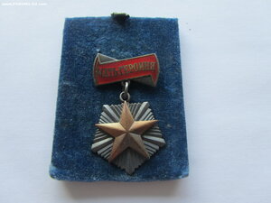 Мать Героиня 283971 с документами и большой грамотой