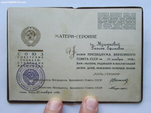 Мать Героиня 283971 с документами и большой грамотой