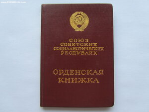 Мать Героиня 283971 с документами и большой грамотой