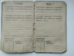 Партбилет РКП(б) 1920 г.