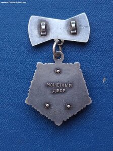 Мать-Героиня 166378 , без заколки