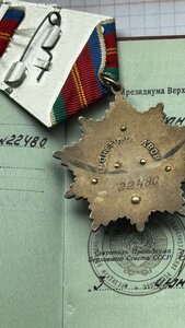 Орден Дружбы народов! № 22480 + Док + Домик.
