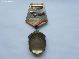 ЗП 281138. Люкс