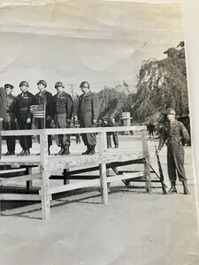 Уникальное фото