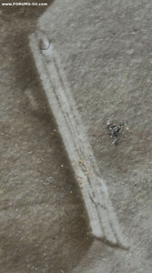 Очень большое фото офицера с семьей. Российская Империя