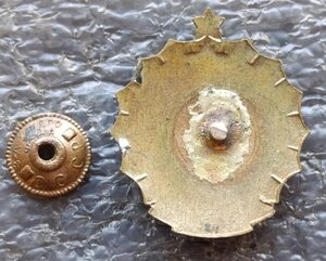 Первенство Москвы 3 место конькобежный спорт