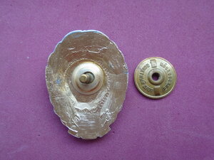 Знак Отличник МООП милиции