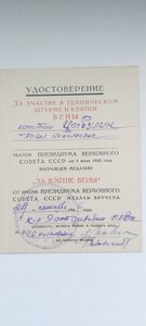 Вена. Будапешт.