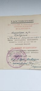 Вена. Будапешт.