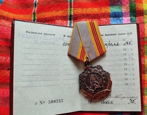 Трудовая Слава 3 ст № 55***.