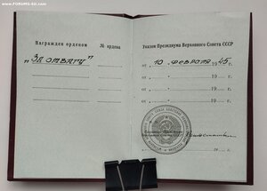 Орденская на Отвагу посмертно ННГ