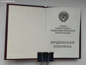Орденская на Отвагу посмертно ННГ