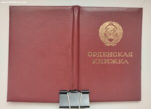 Орденская на Отвагу посмертно ННГ