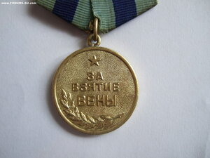 Вена паяное ухо
