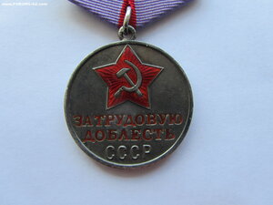 За Трудовую доблесть 48310. Определение.