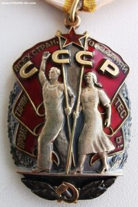 ЗП, ветки. Сохран.