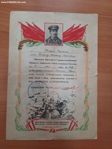Справки на Кривой Рог и Новый Буг, удост. на 3 медали +