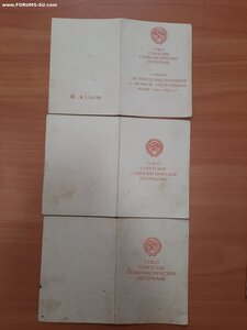 Справки на Кривой Рог и Новый Буг, удост. на 3 медали +