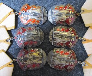 Знак почета, обычные