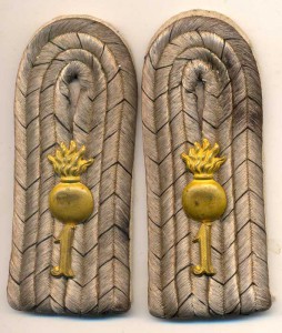 Погоны Гренадера?