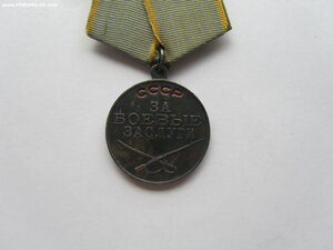 ЗБЗ сточеное ухо БН.