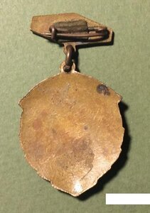 Чемпион области 1958 УССР Волейбол
