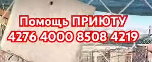 ПОМОЩЬ ПРИЮТУ!
