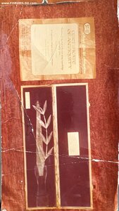 Кинжал из Израиля 6-8 в днэ