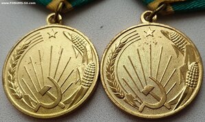 Две целины с доками: отец и дочь, номера подряд