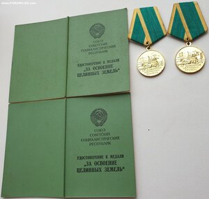 Две целины с доками: отец и дочь, номера подряд