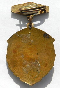 Чемпион области 1958 УССР Волейбол