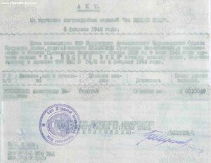 Вена 989-й штурмовой авиационный полк