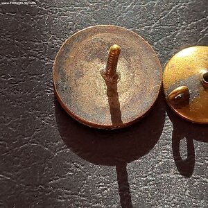 Участнику 1 спартакиады, Казань 1934 год