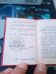 Медаль БЗ  на Доке за 1991 г.