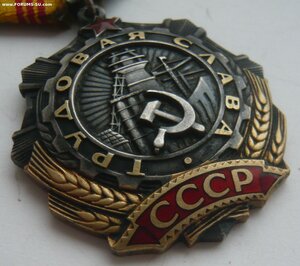 Трудовая Слава 3ст. № 509905