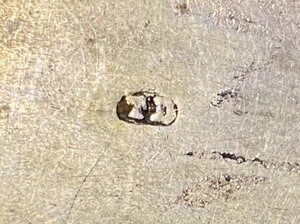 Серебряная табакерка 1878 год.