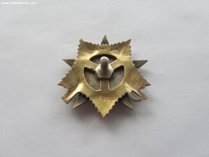 ОВ 1 ст 84965 с орденской и болгарской медалью.