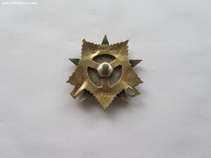 ОВ 1 ст 84965 с орденской и болгарской медалью.