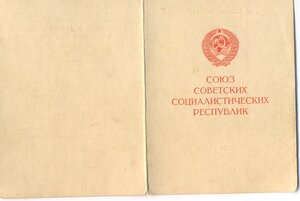 Вена