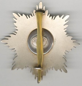 Польша. Звезда возрождения Польши.