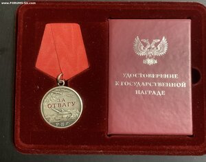 Медаль За отвагу ДНР + док